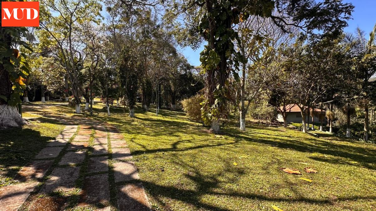 Sítio em Mailasqui, São Roque - Foto 19