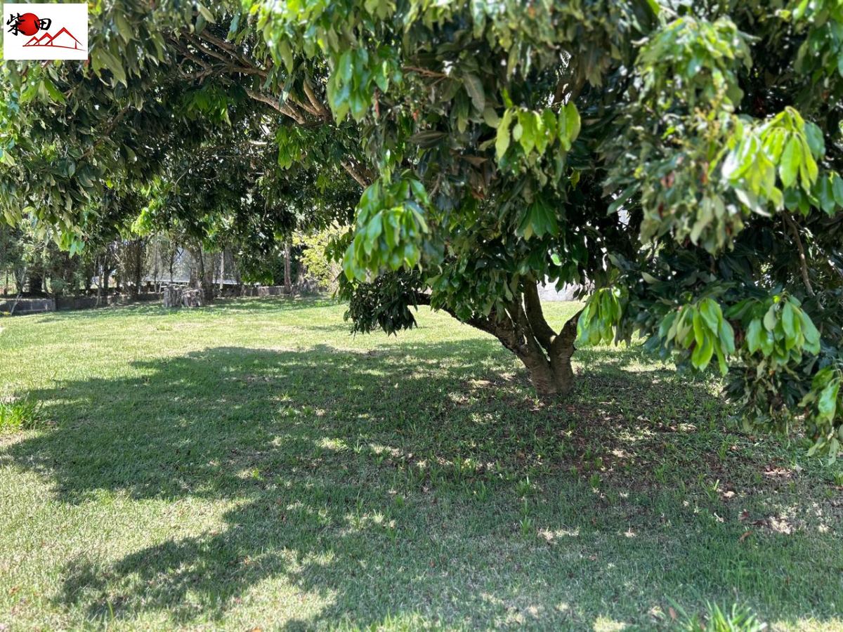 Chácara em Canguera, São Roque - Foto 12