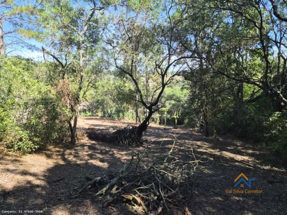 Terreno em Planalto Verde, São Roque - Terreno Ótima Localização - Foto 7