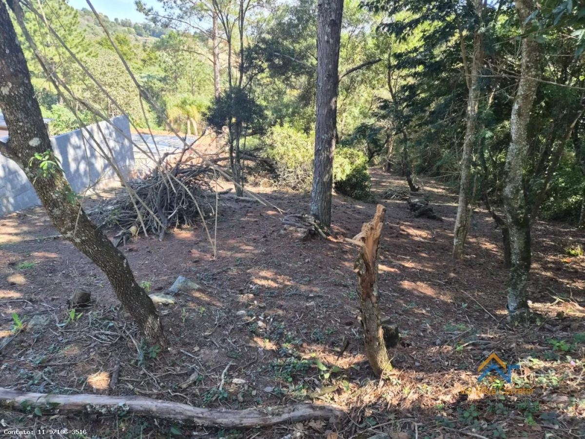 Terreno em Planalto Verde, São Roque - Terreno Ótima Localização - Foto 8