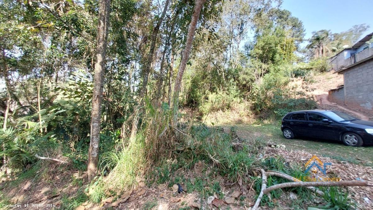 Terreno em Mailasqui, São Roque - Foto 8