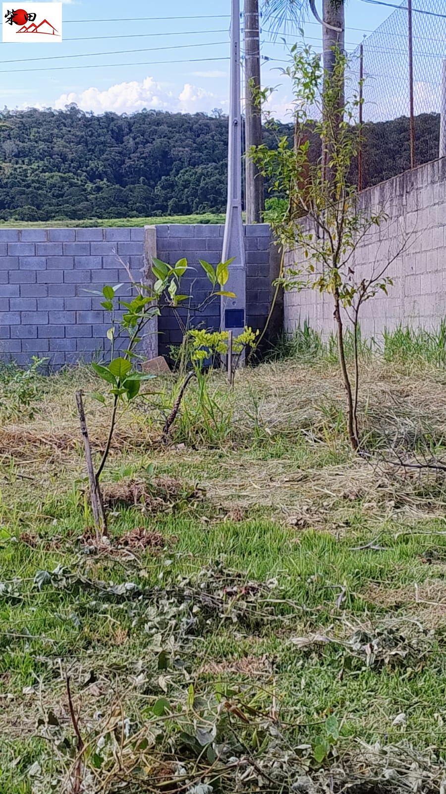 Terreno em Pavão, São Roque - São Roque Lote 1000m²  Próx. Vinicola - Foto 4
