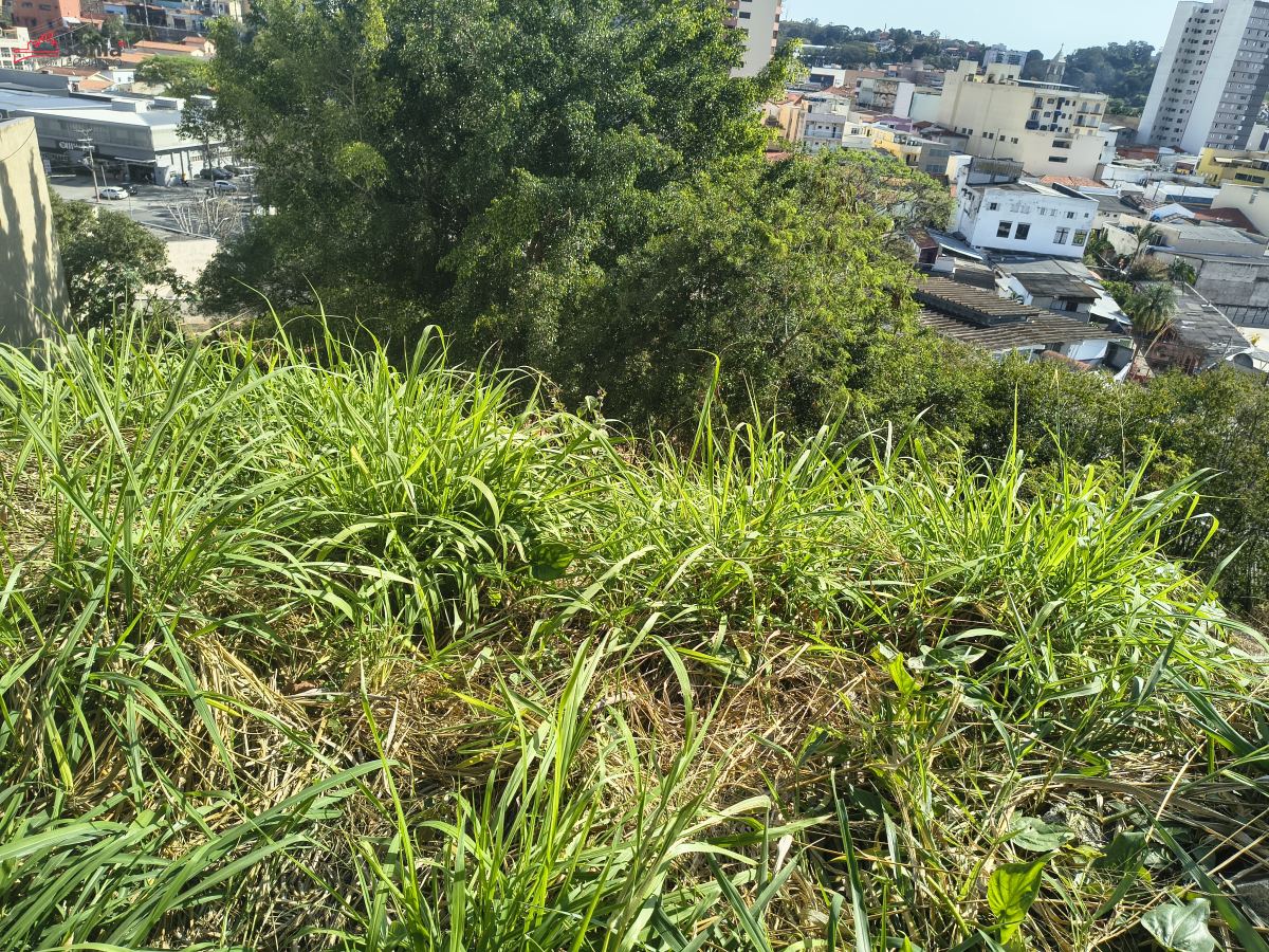 Terreno em Esplanada Mendes, São Roque - TERRENO VENDA ESPLANADA MENDES - Foto 1