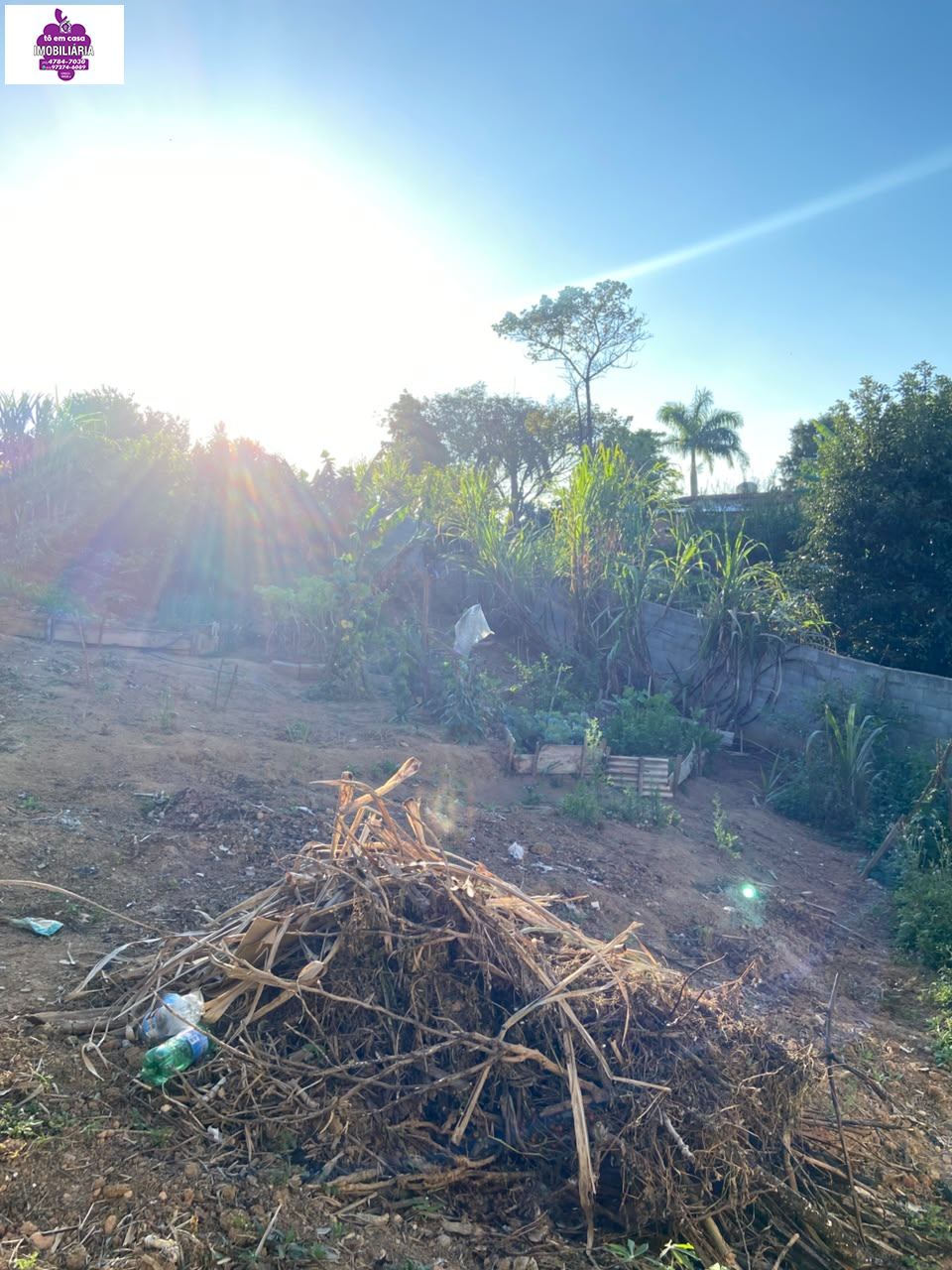 Casa em Jardim Brasília, São Roque - Casa à Venda no Jardim Brasília - Foto 4