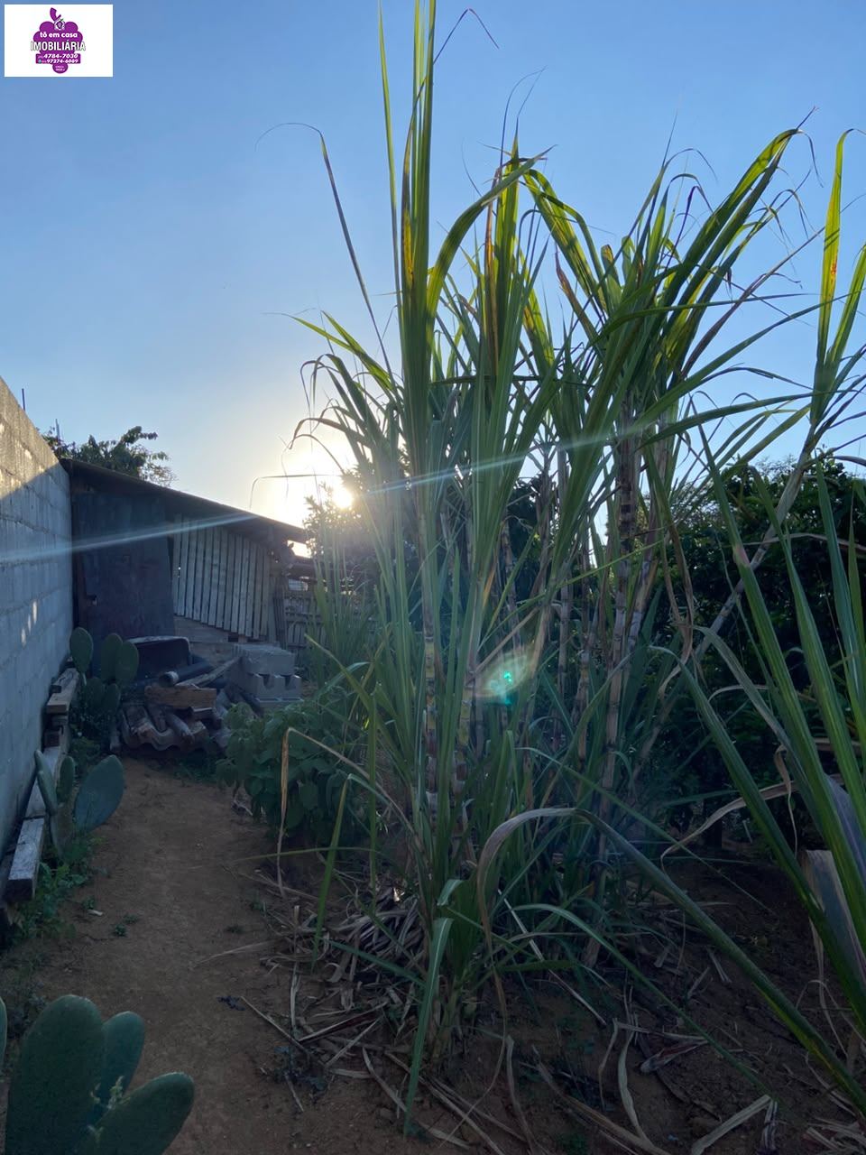 Casa em Jardim Brasília, São Roque - Casa à Venda no Jardim Brasília - Foto 6
