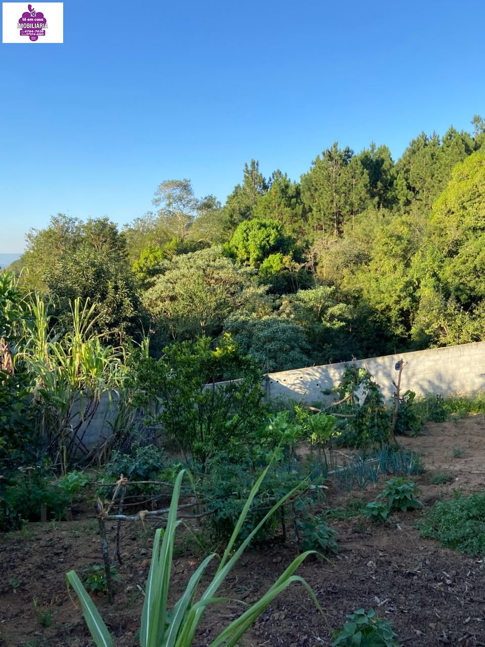 Casa em Jardim Brasília, São Roque - Casa à Venda no Jardim Brasília - Foto 7