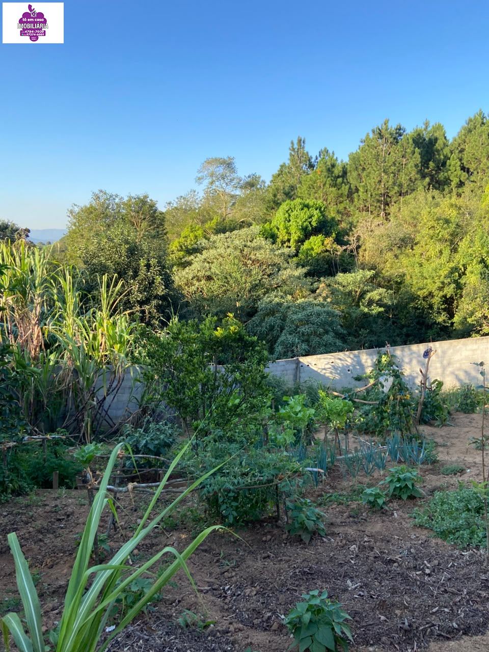 Casa em Jardim Brasília, São Roque - Casa à Venda no Jardim Brasília - Foto 11