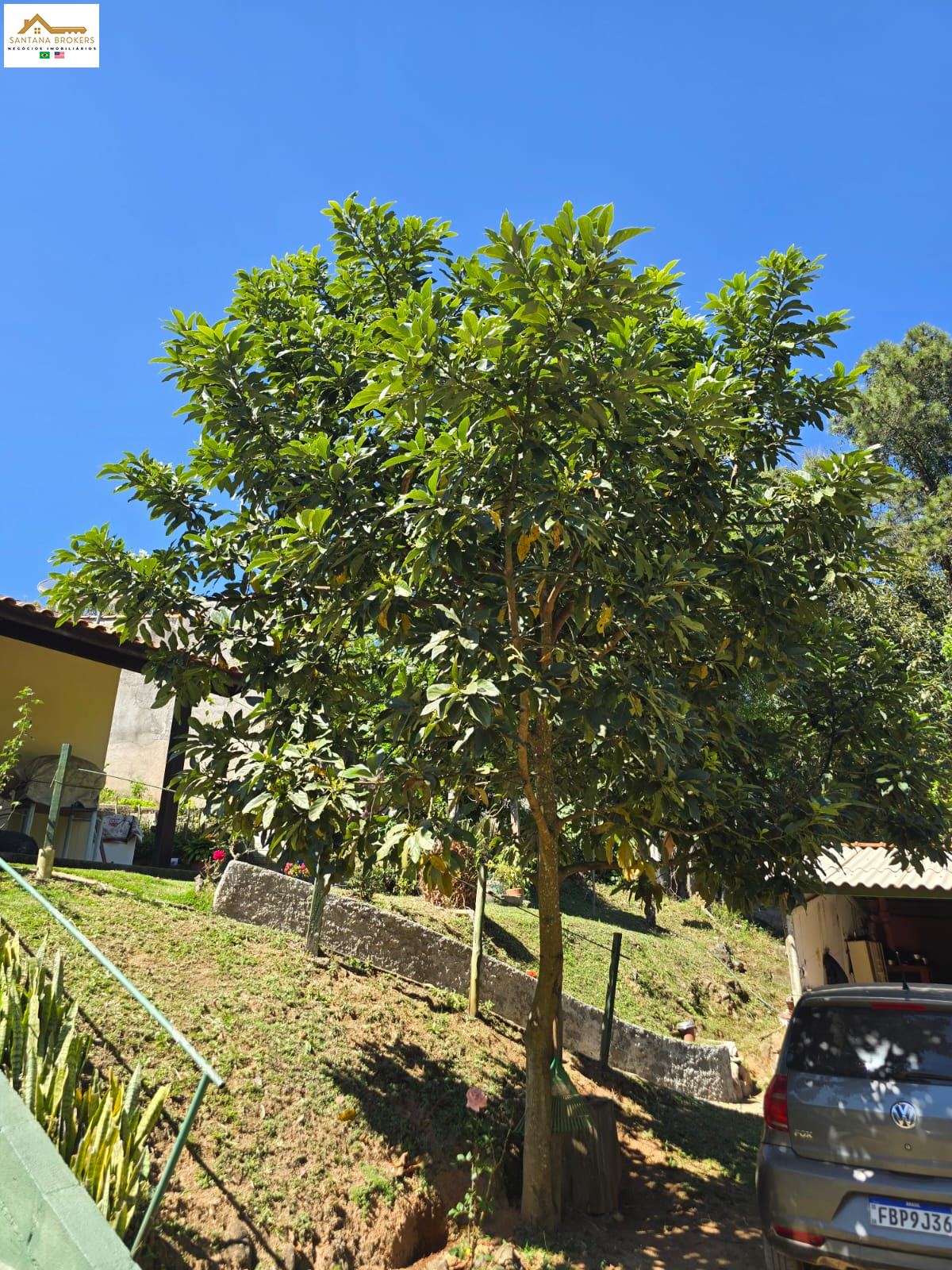 Chácara em Gabriel Piza, São Roque - Foto 12