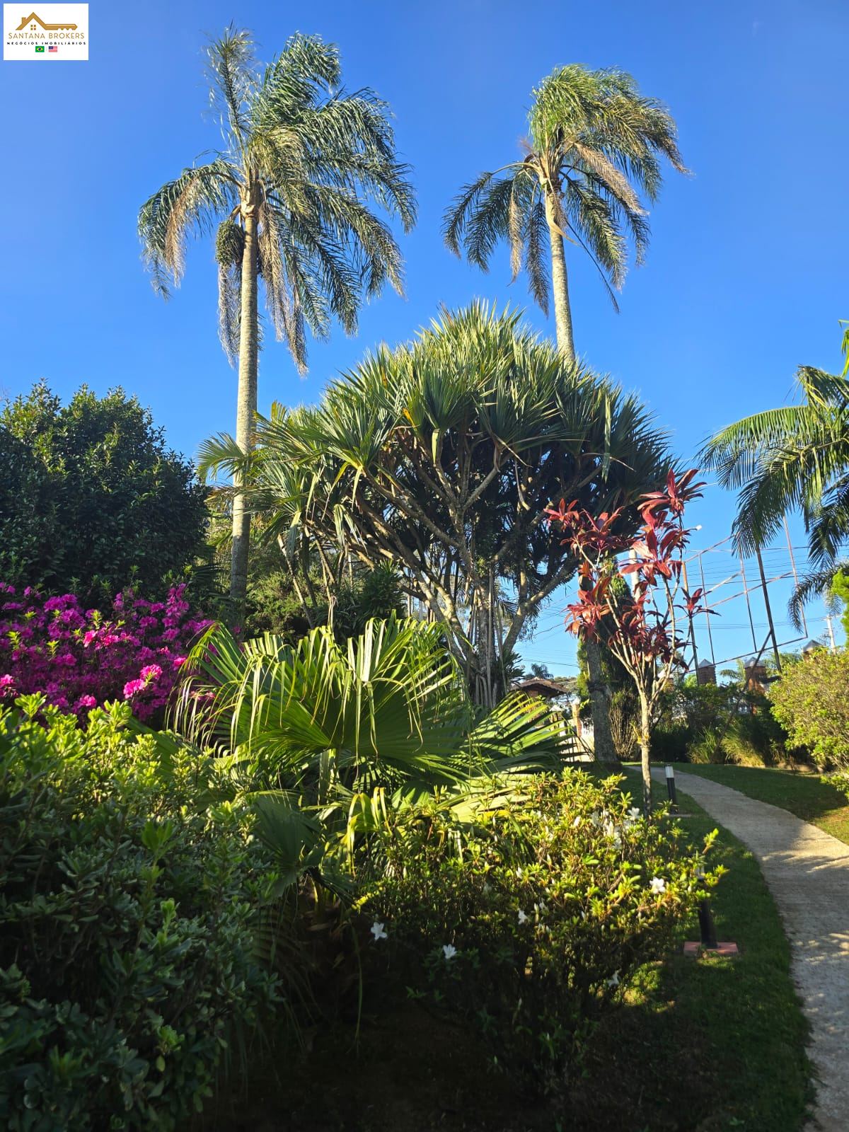 Chácara em , São Roque - Chácara Pousada & Airbnb - Foto 17