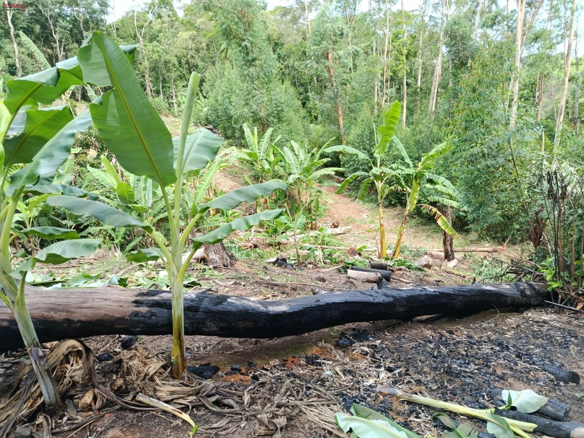 Terreno em Jardim Villaça, São Roque - Foto 11
