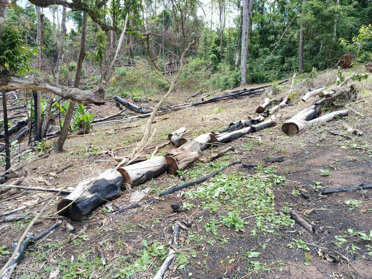 Terreno em Jardim Villaça, São Roque - Vende Excelente Área com 49 mil m2.