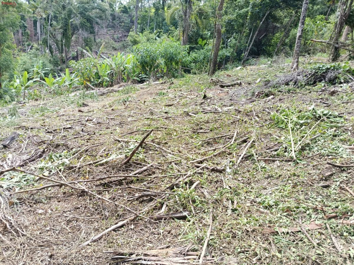 Terreno em Jardim Villaça, São Roque - Foto 13