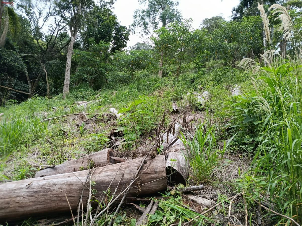 Terreno em Jardim Villaça, São Roque - Foto 14