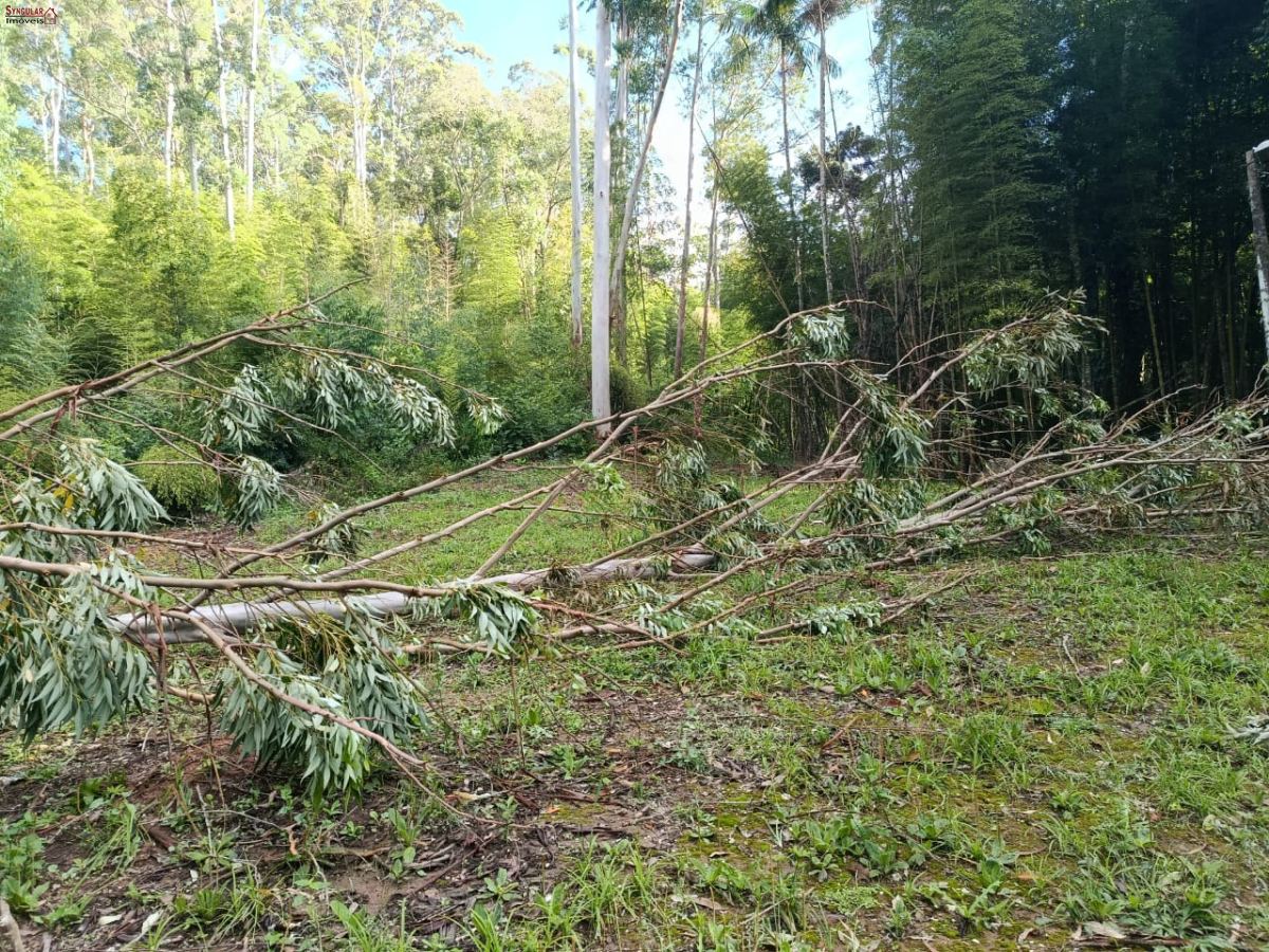Terreno em Jardim Villaça, São Roque - Foto 17