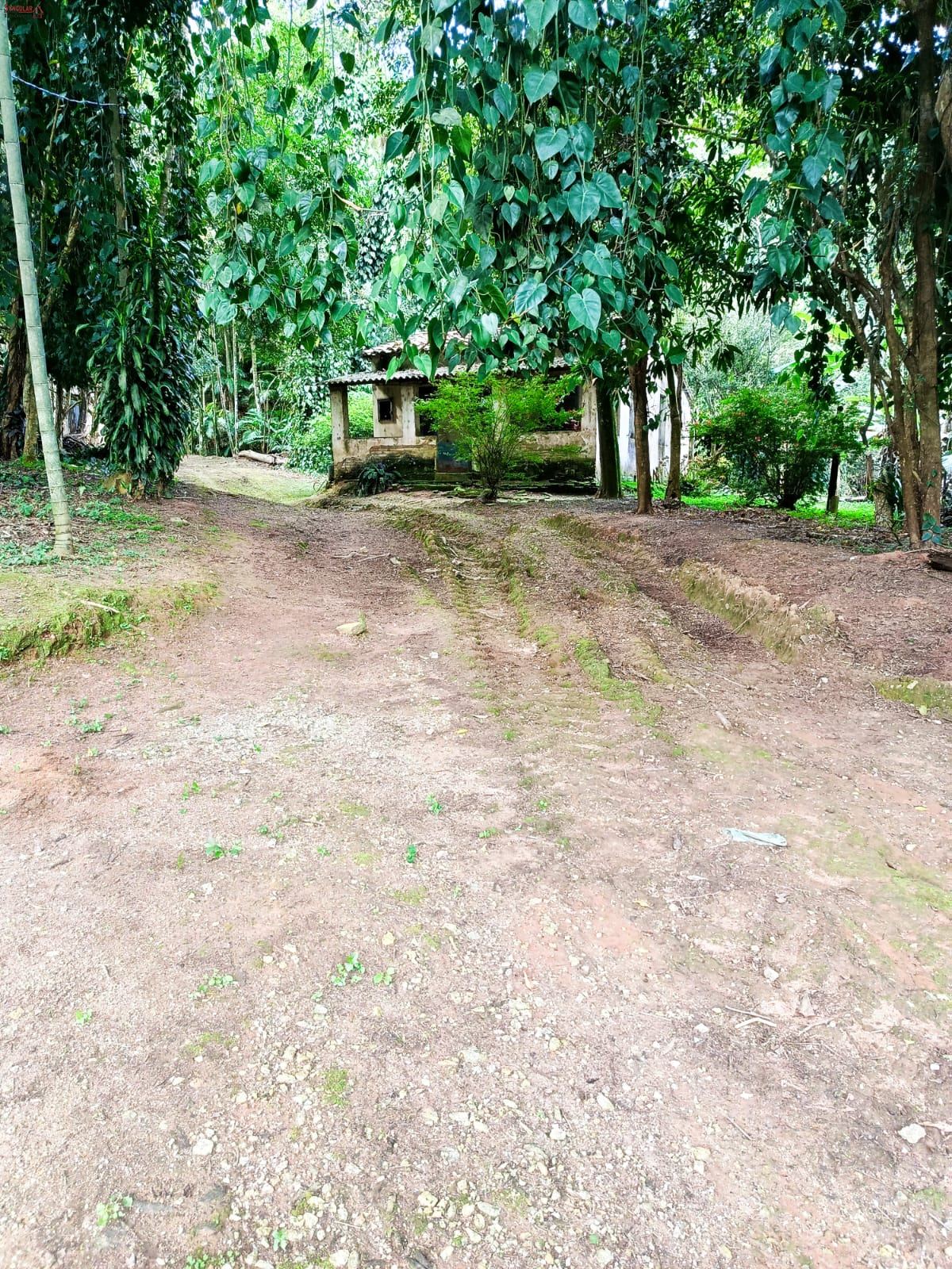 Terreno em Jardim Villaça, São Roque - Foto 7