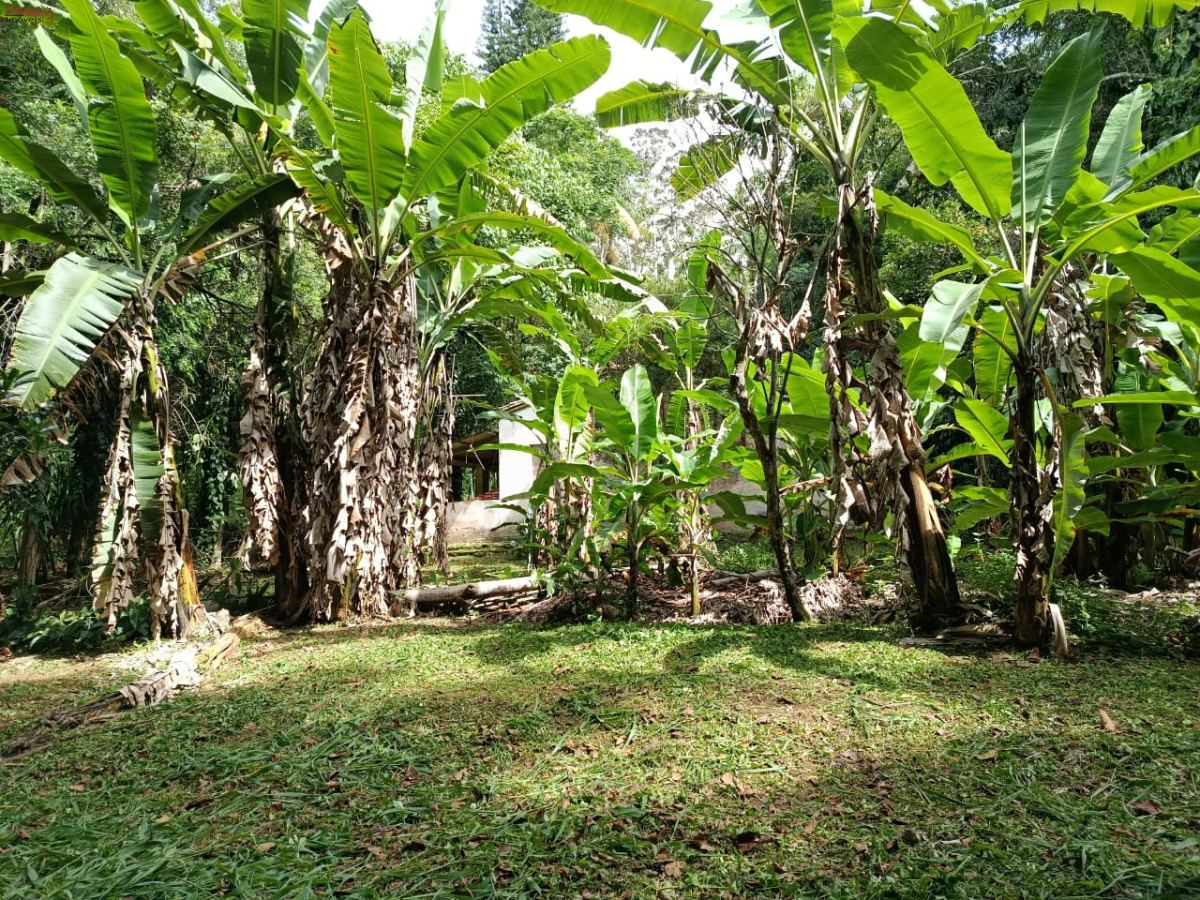 Terreno em Jardim Villaça, São Roque - Foto 8