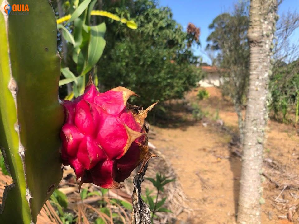 Chácara em , Mairinque - Foto 10