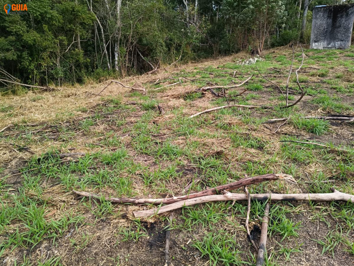 Terreno em , São Roque - Foto 3