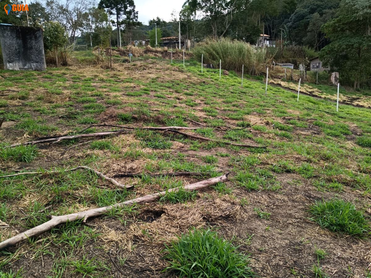 Terreno em , São Roque - Foto 7