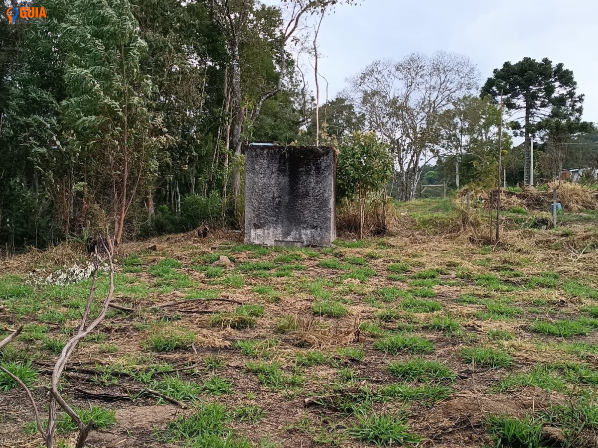 Terreno em , São Roque - Foto 8