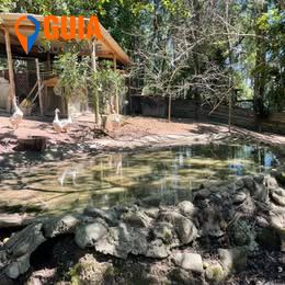 Sítio em , Mairinque - Foto 19