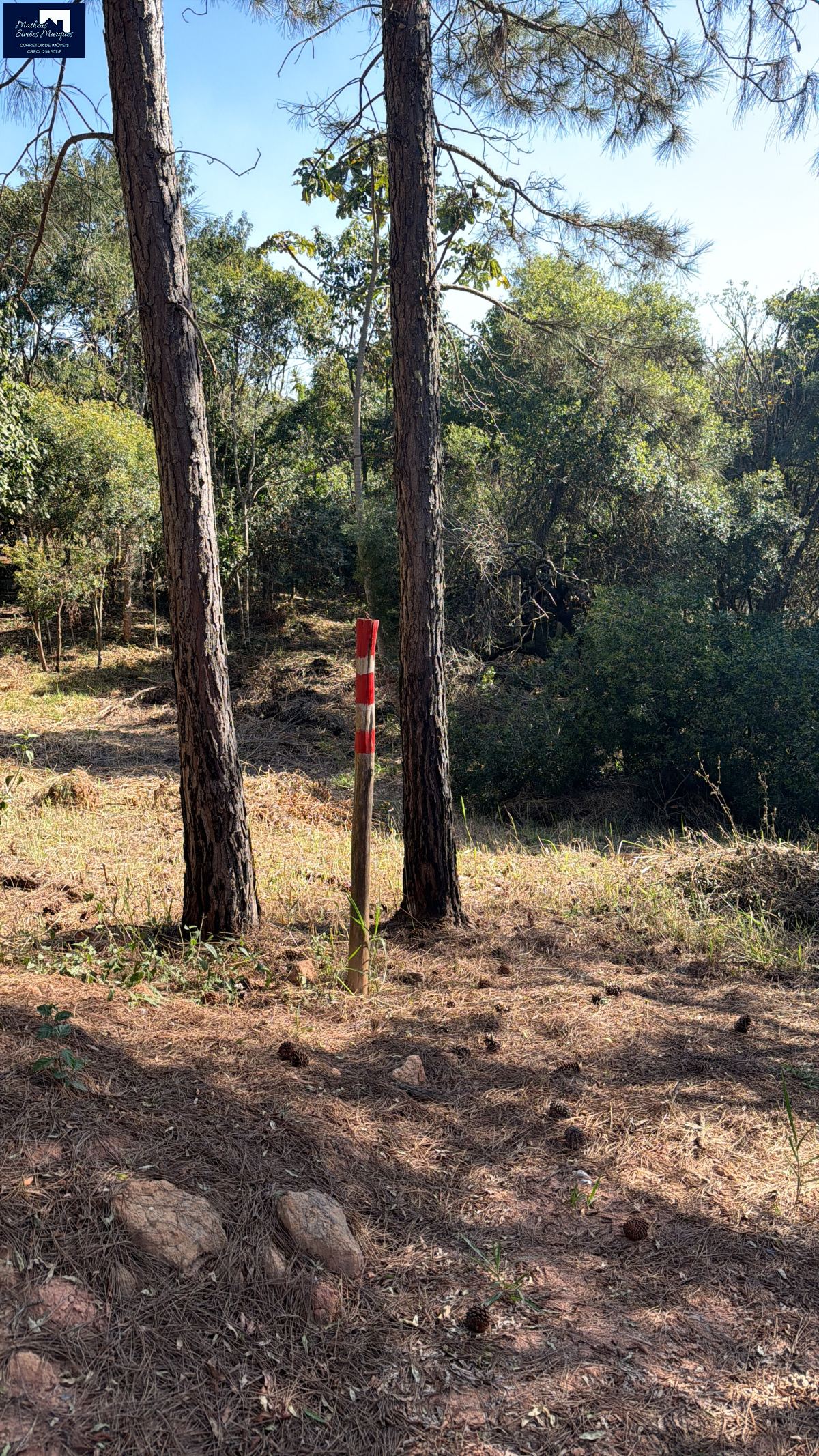Terreno em Planalto Verde, São Roque - Foto 2