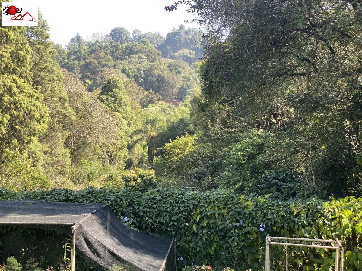 Chácara em Jardim Camargo, São Roque - Foto 33