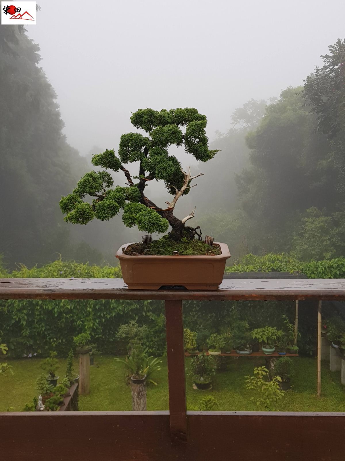 Chácara em Jardim Camargo, São Roque - Foto 22
