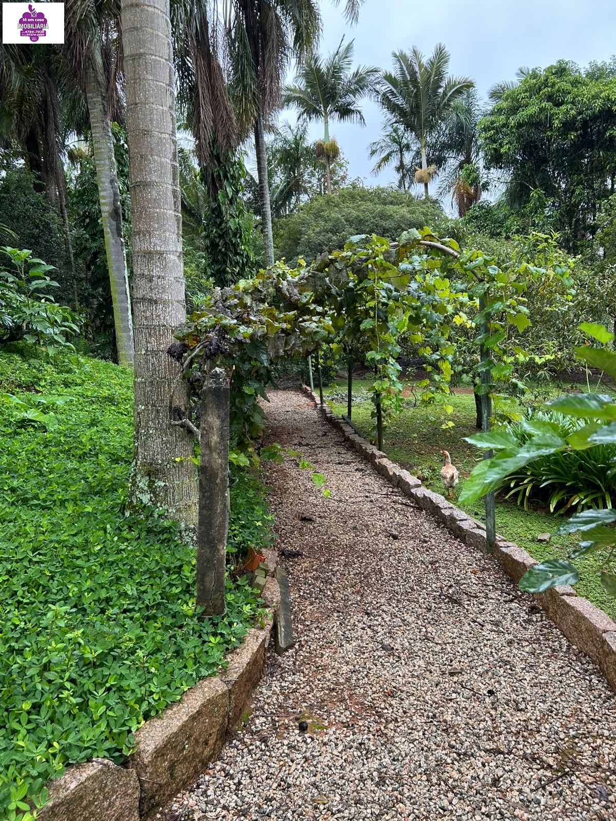 Chácara em Jardim Flora, Mairinque - Foto 27