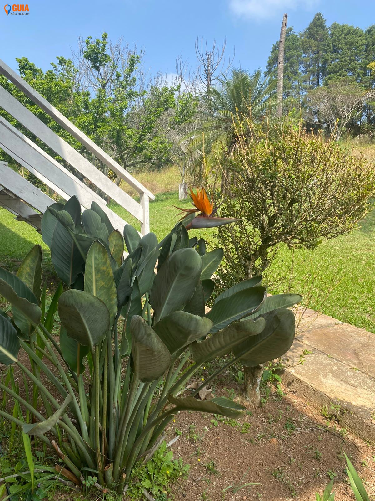 Sítio em , São Roque - Foto 21