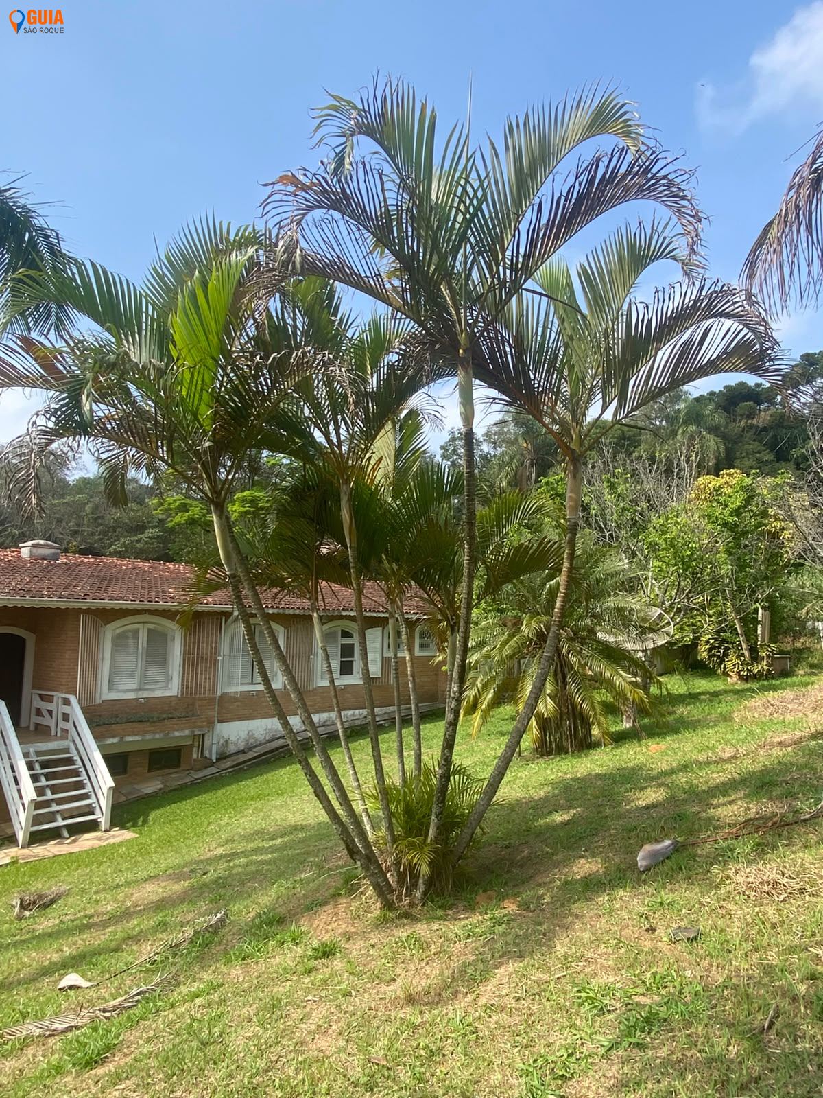 Sítio em , São Roque - Foto 22