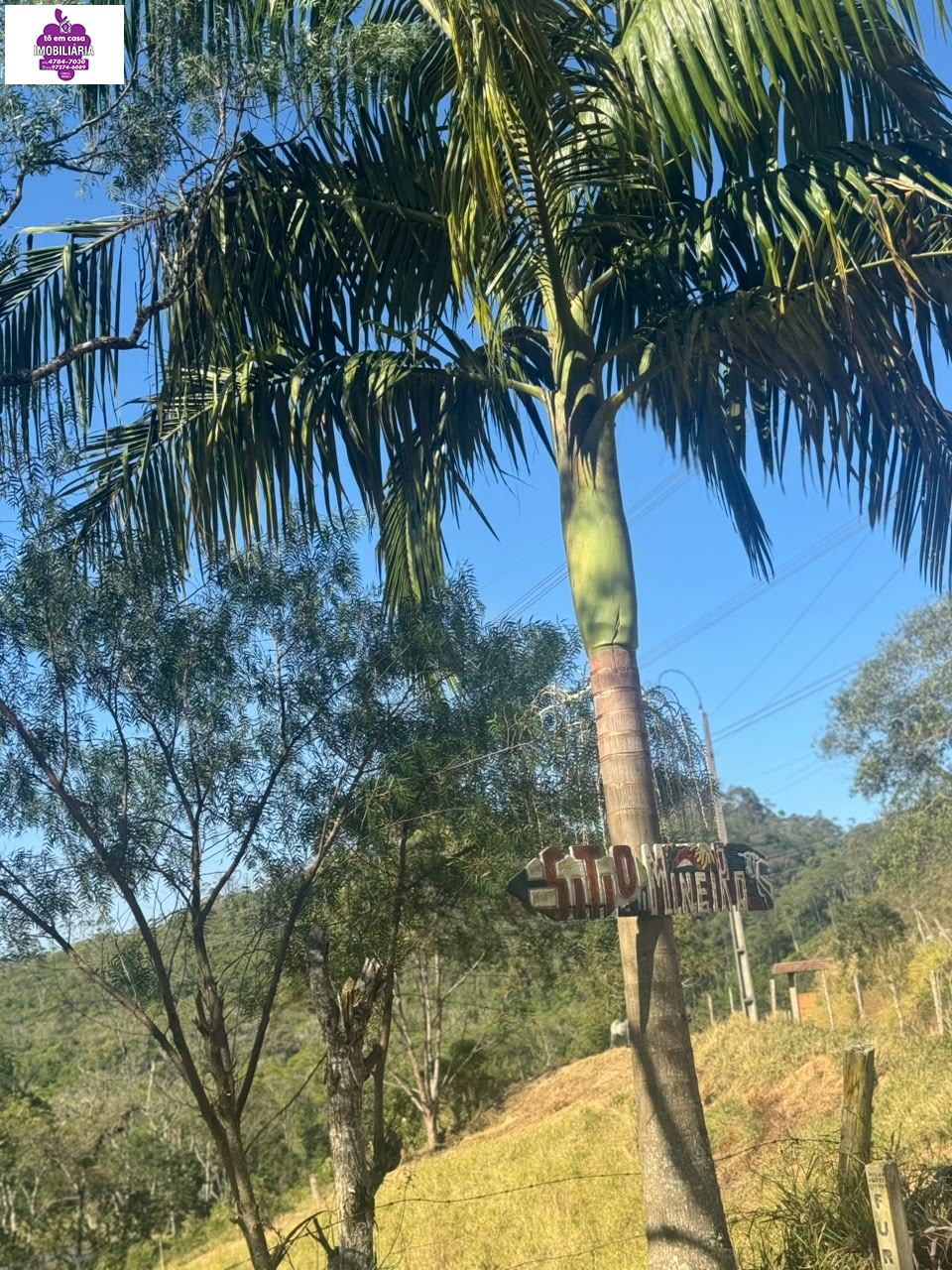 Sítio em Alves, Ibiúna - Foto 4