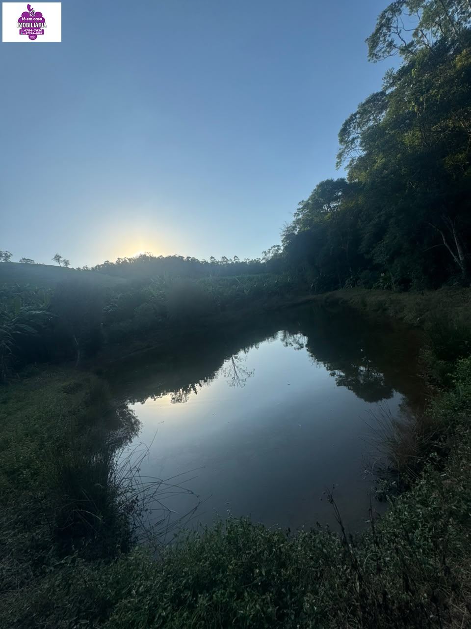 Sítio em Alves, Ibiúna - Foto 5