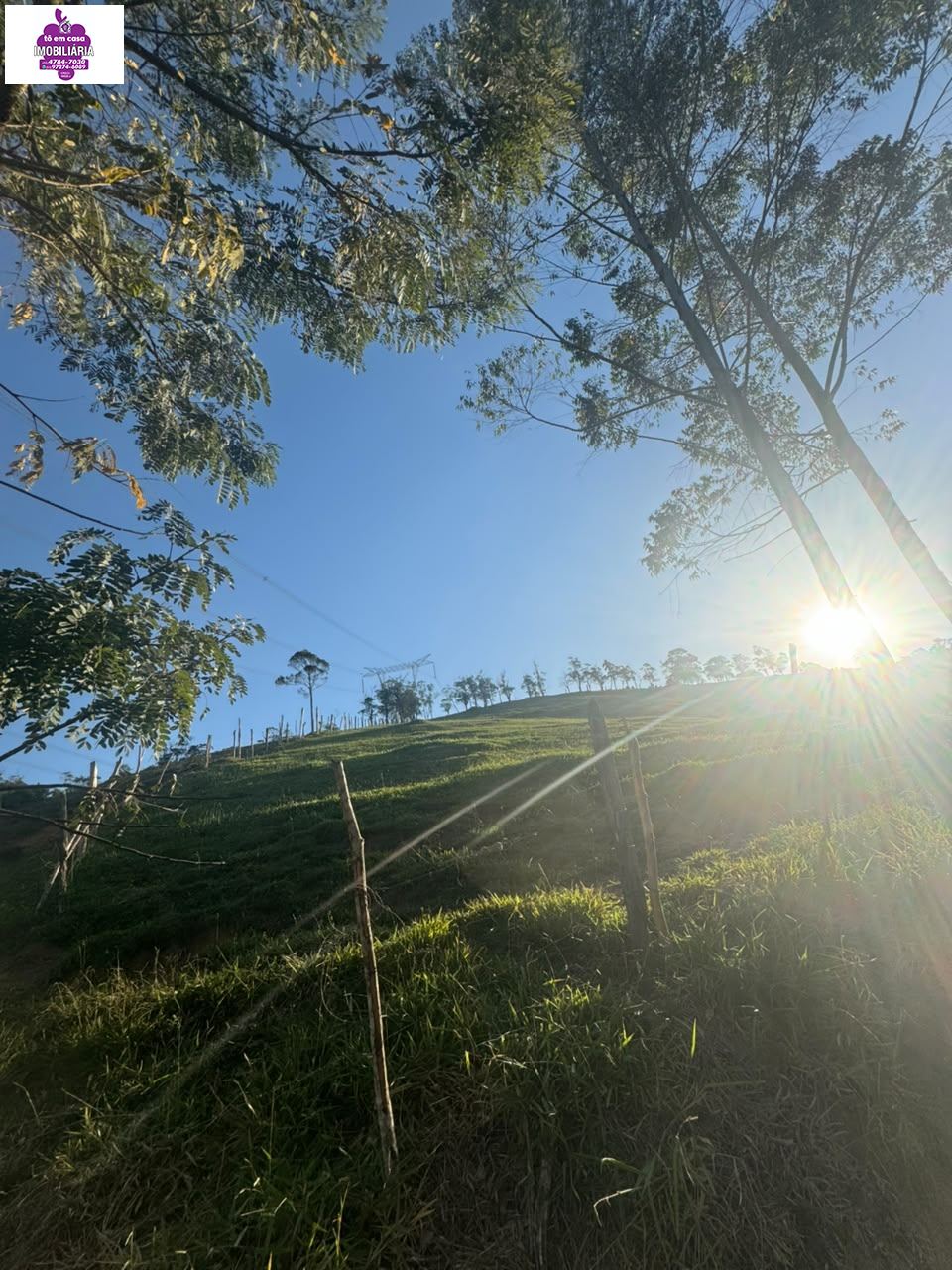 Sítio em Alves, Ibiúna - Foto 9
