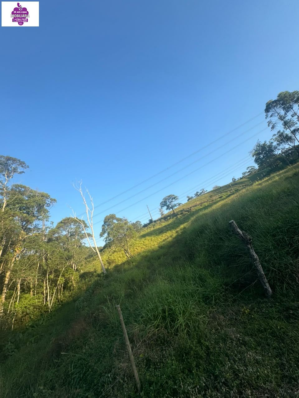 Sítio em Alves, Ibiúna - Foto 12