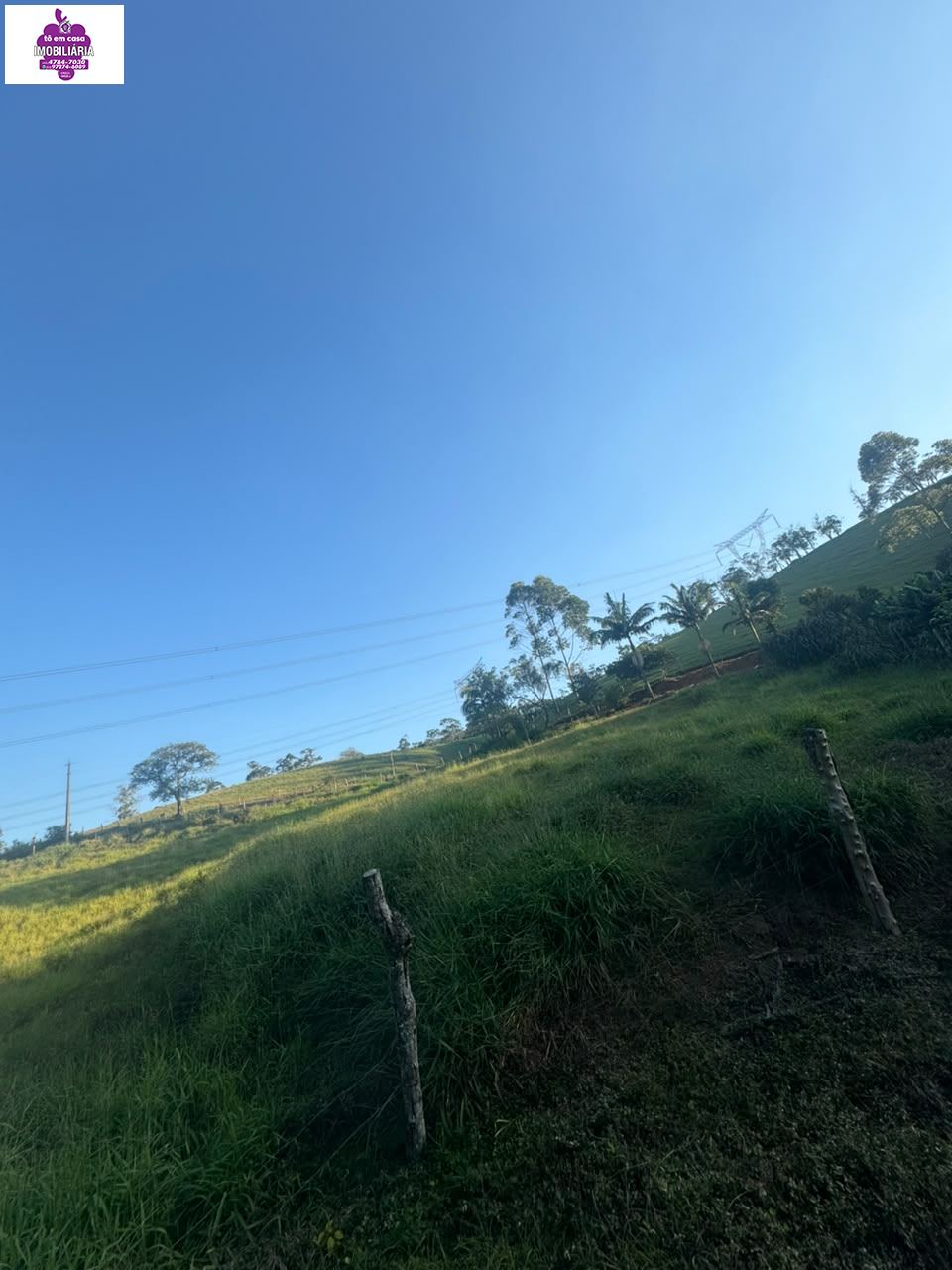 Sítio em Alves, Ibiúna - Foto 10