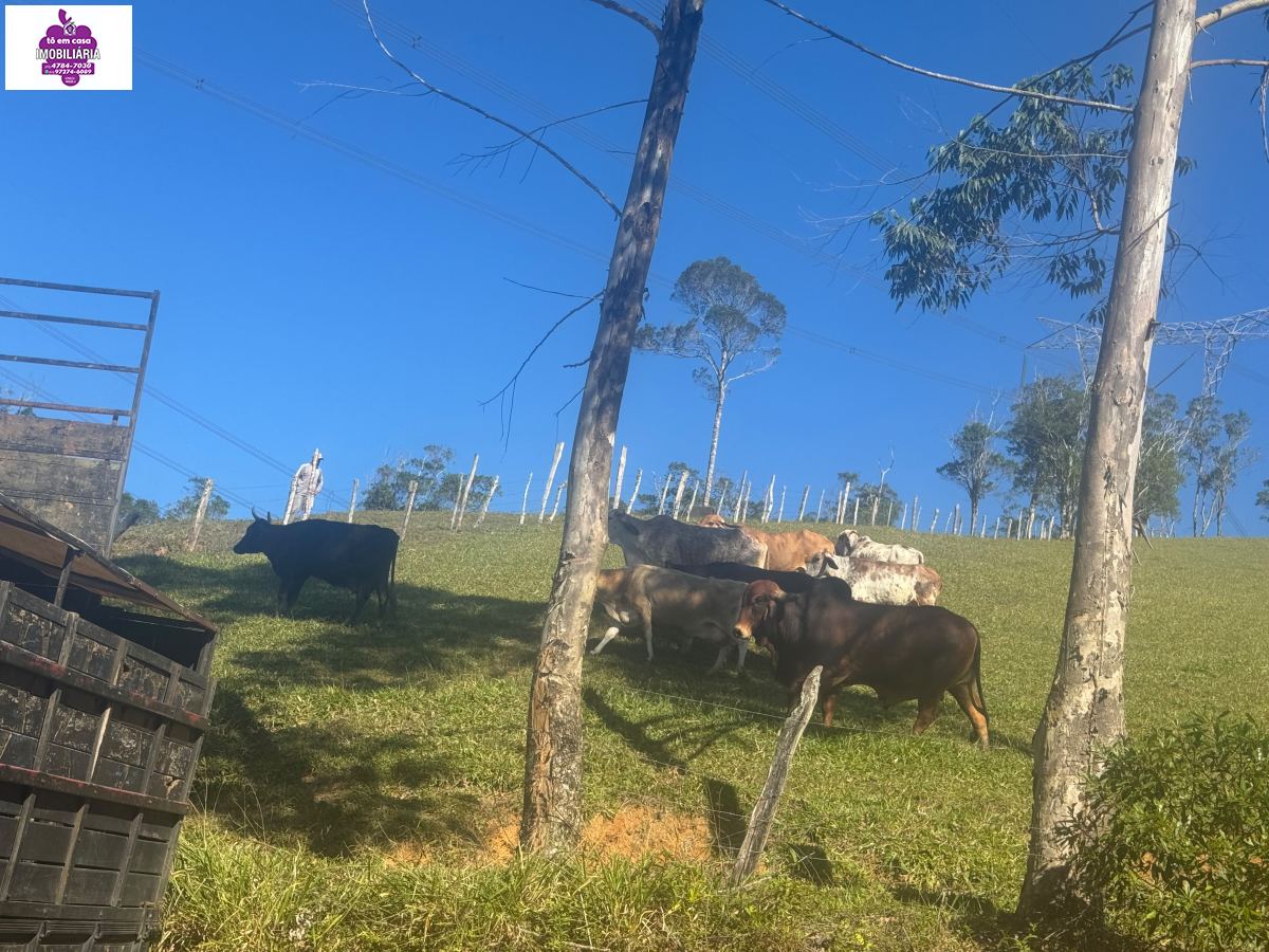 Sítio em Alves, Ibiúna - Foto 13