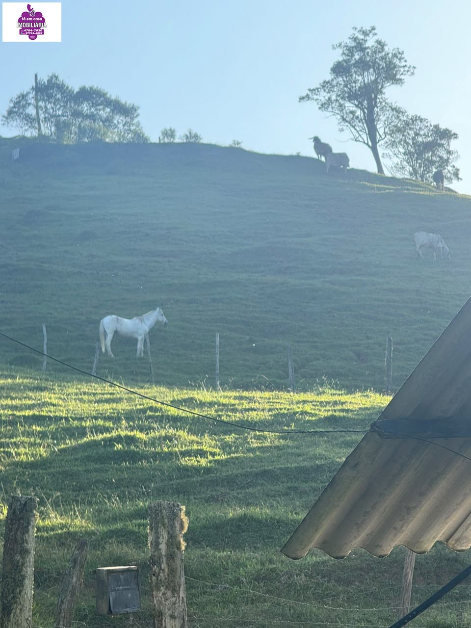 Sítio em Alves, Ibiúna - Foto 22