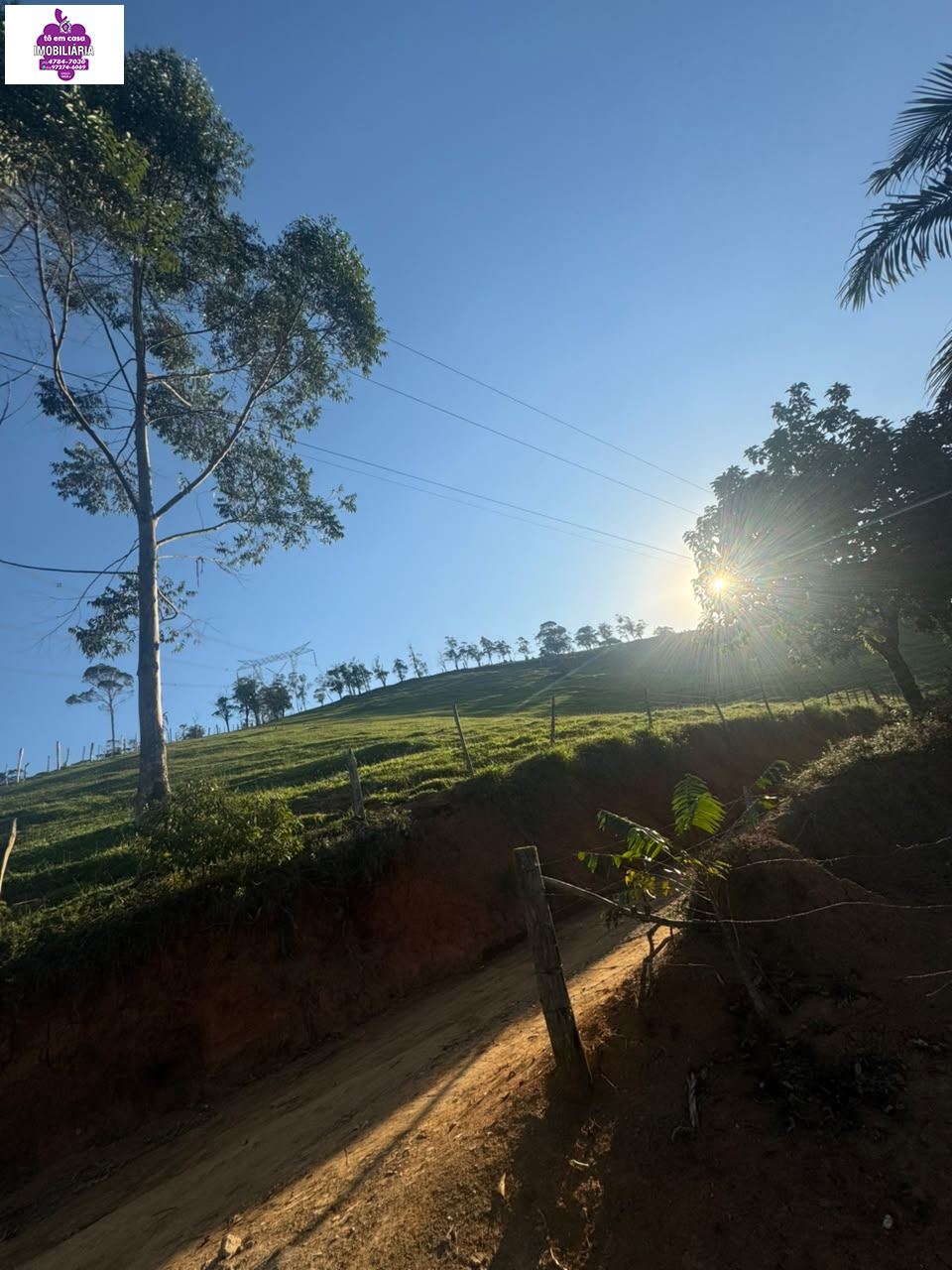 Sítio em Alves, Ibiúna - Foto 23