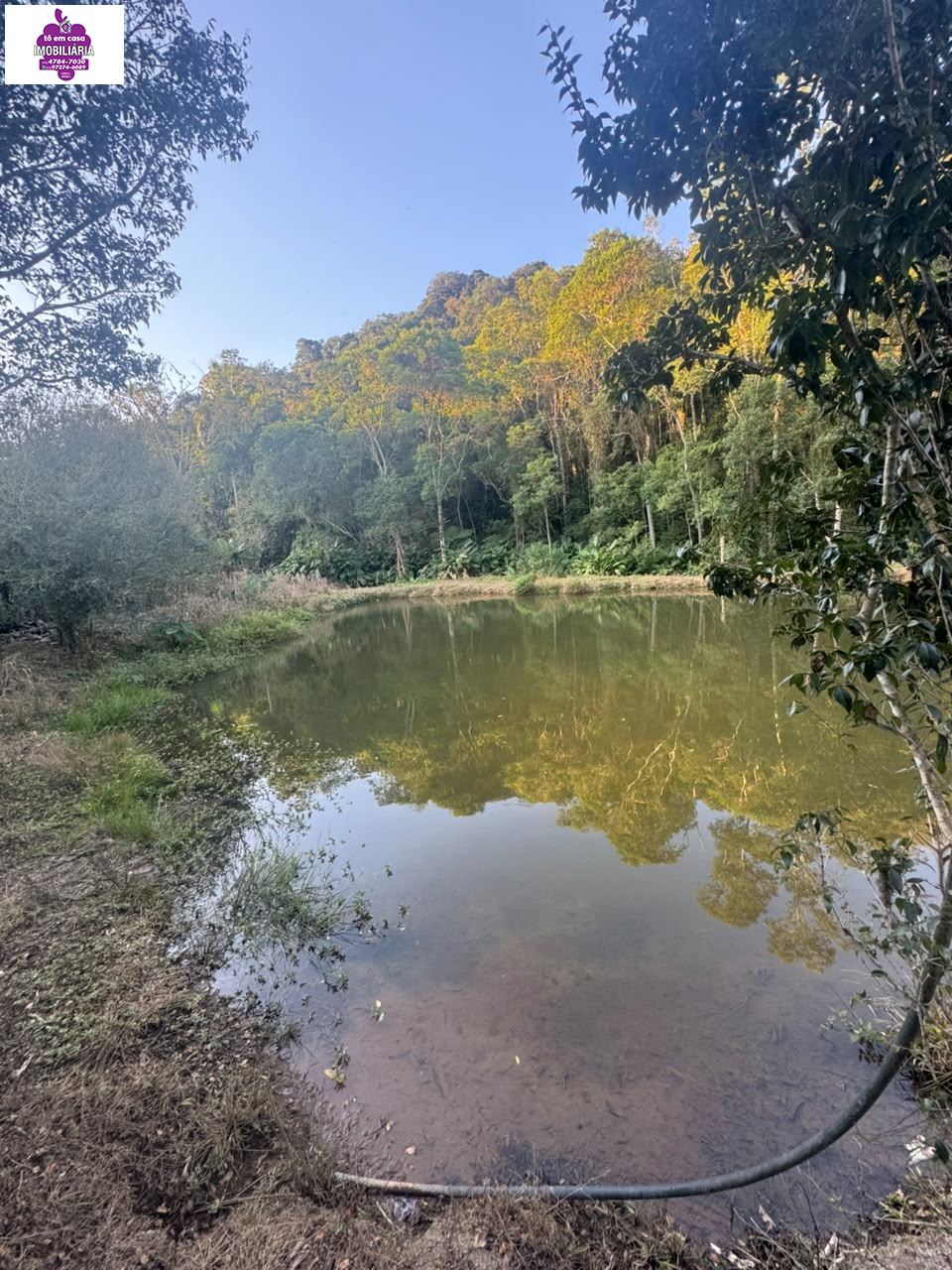 Chácara em Alves, Ibiúna - Sítio à venda em Ibiúna