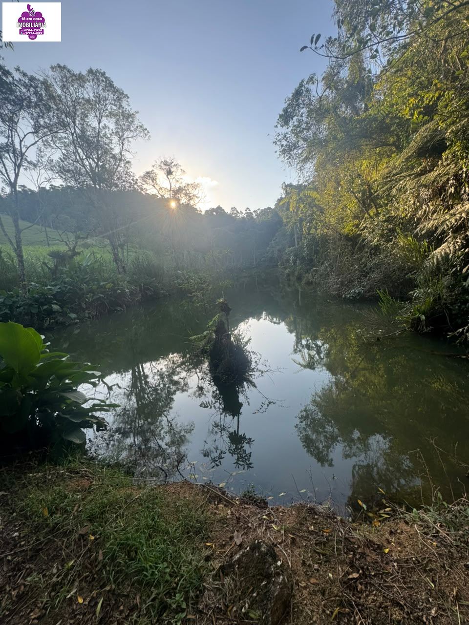 Sítio em Alves, Ibiúna - Foto 27