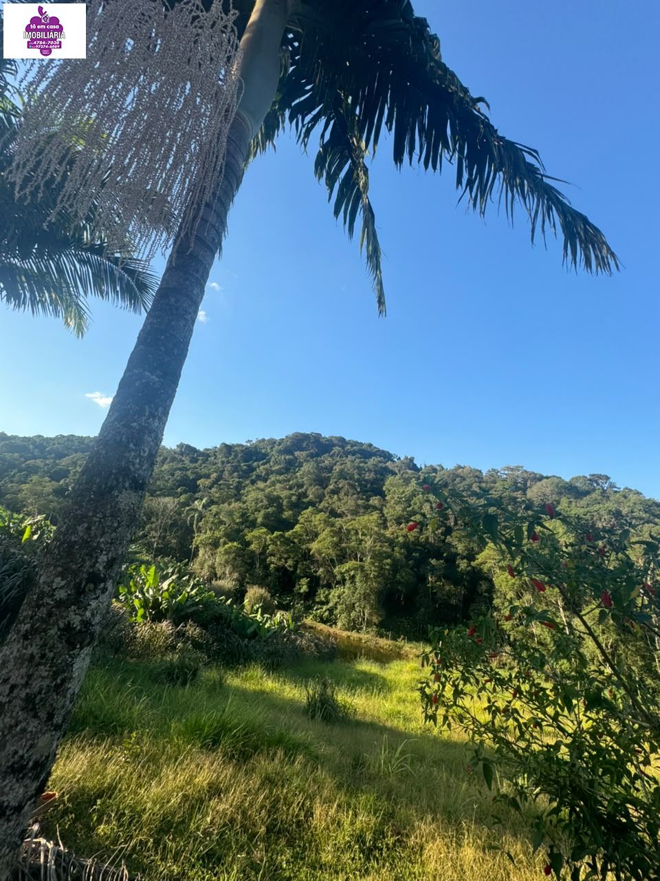 Sítio em Alves, Ibiúna - Foto 28