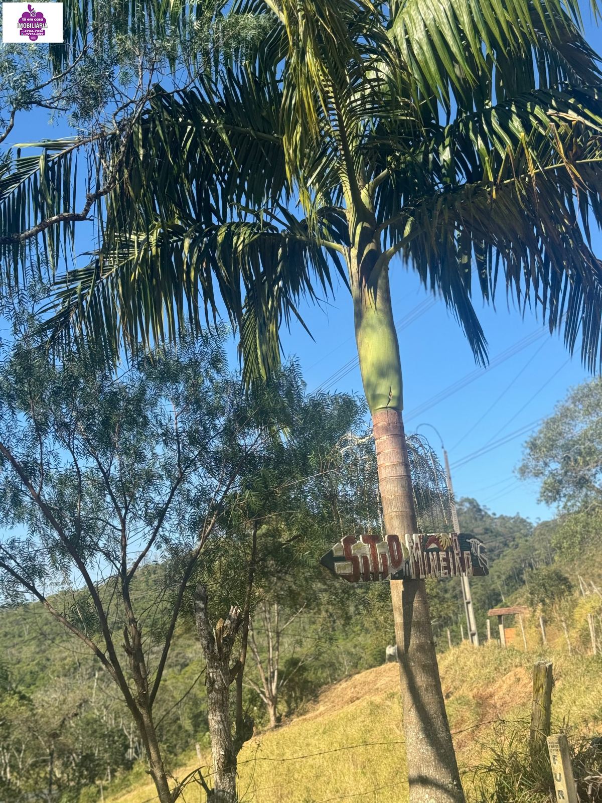 Sítio em Alves, Ibiúna - Foto 30
