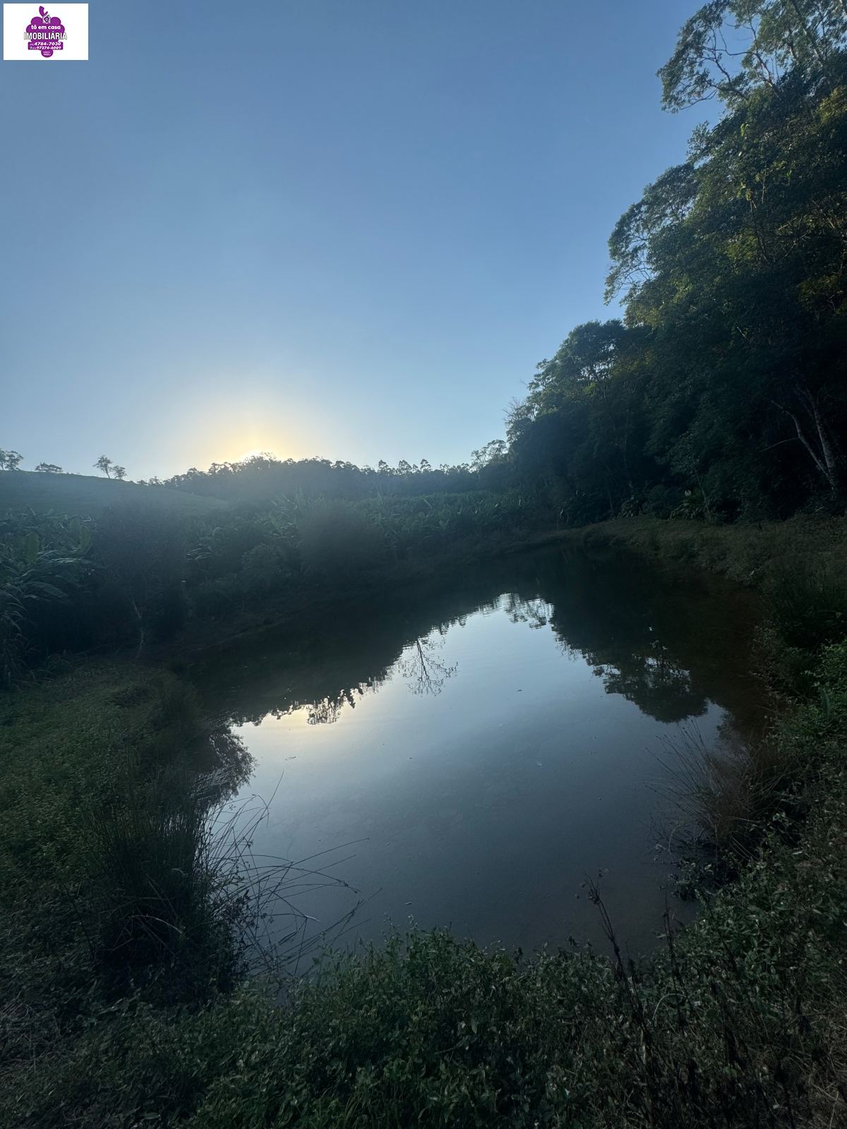Sítio em Alves, Ibiúna - Foto 32