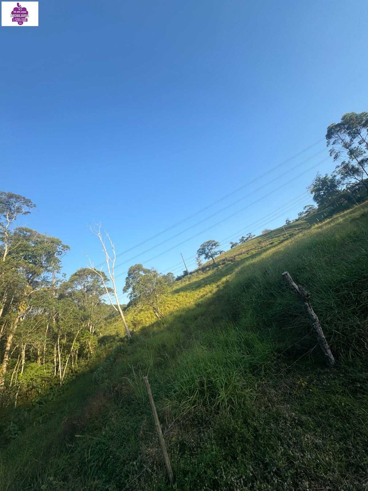 Sítio em Alves, Ibiúna - Foto 35