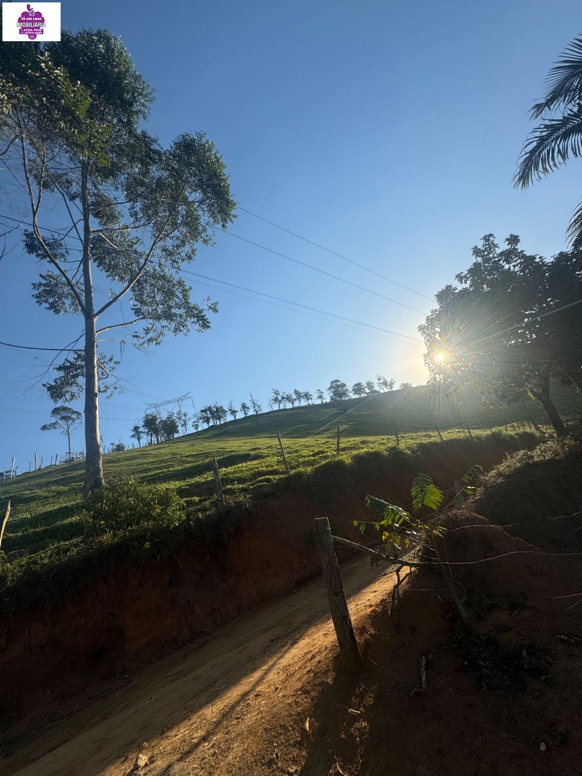 Sítio em Alves, Ibiúna - Foto 47