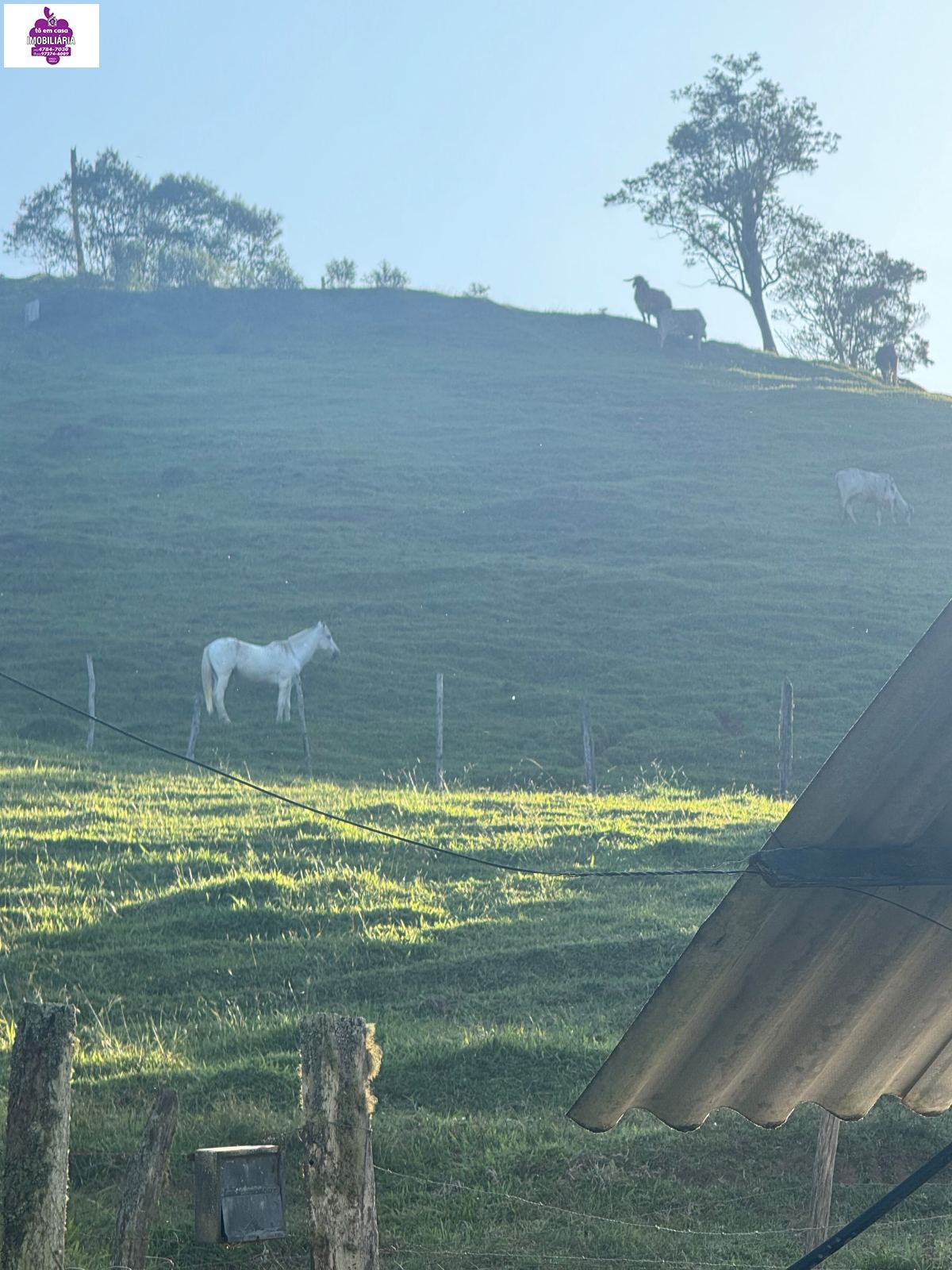 Sítio em Alves, Ibiúna - Foto 48