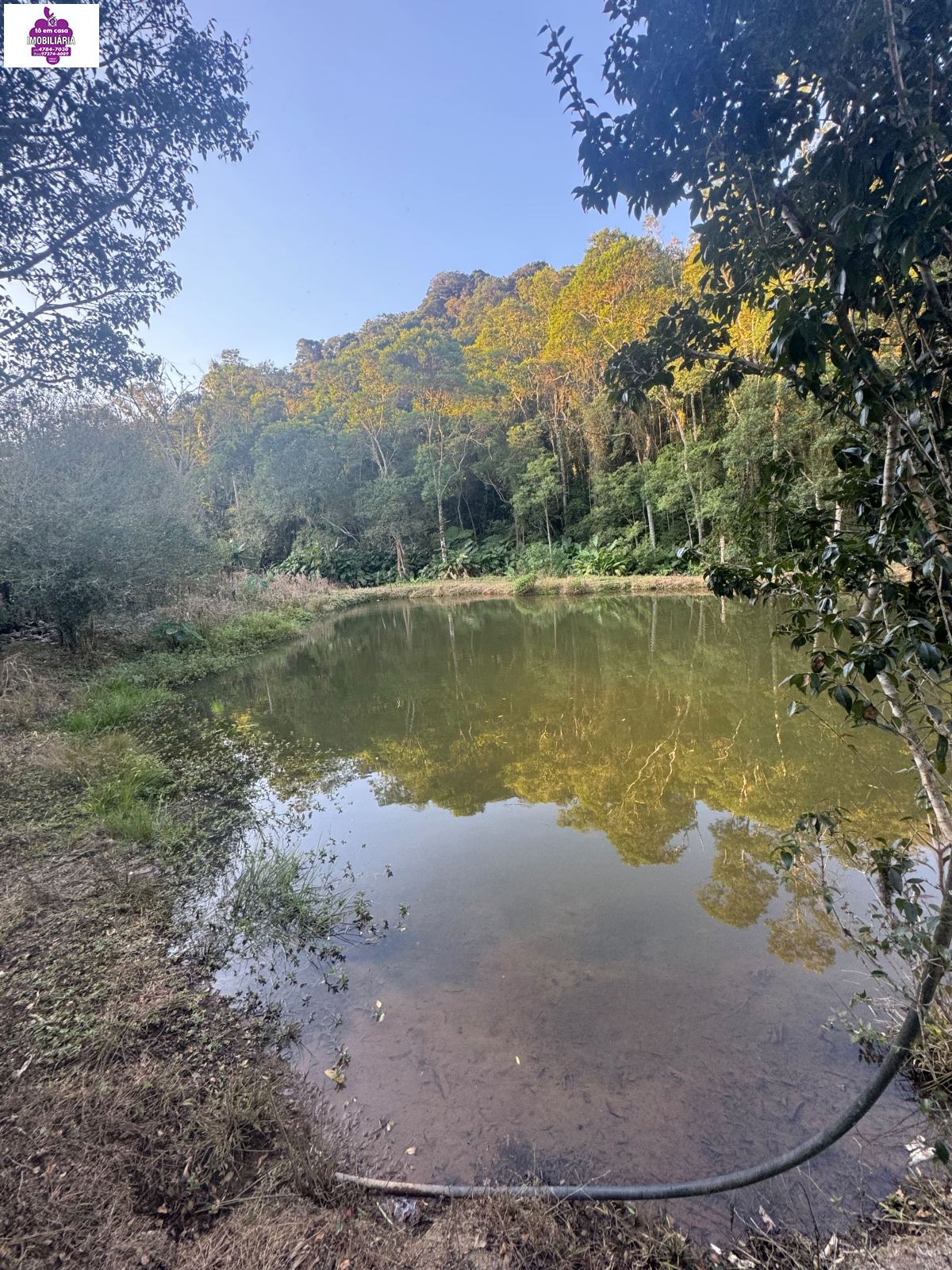 Sítio em Alves, Ibiúna - Foto 52