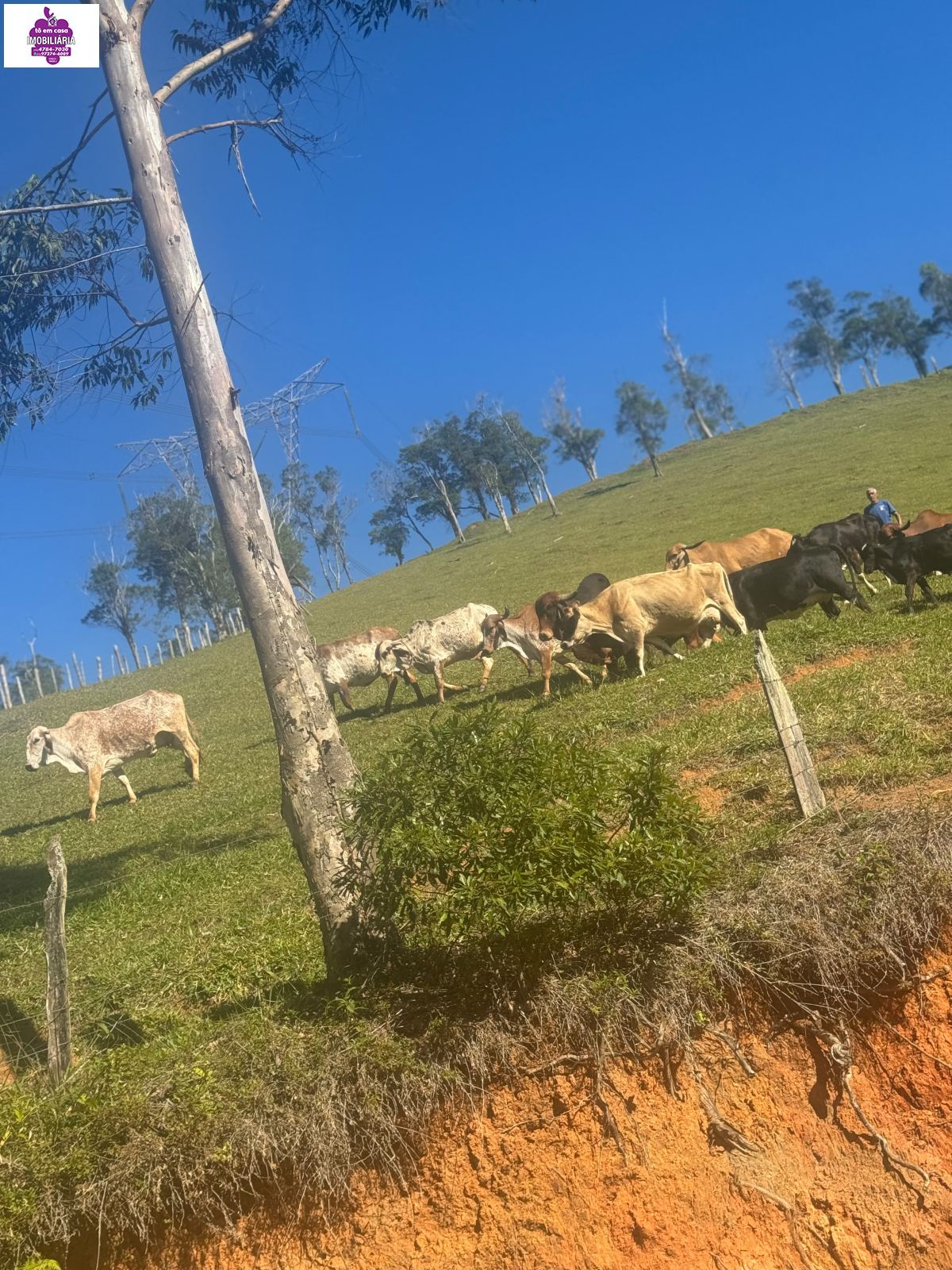 Sítio em Alves, Ibiúna - Foto 51