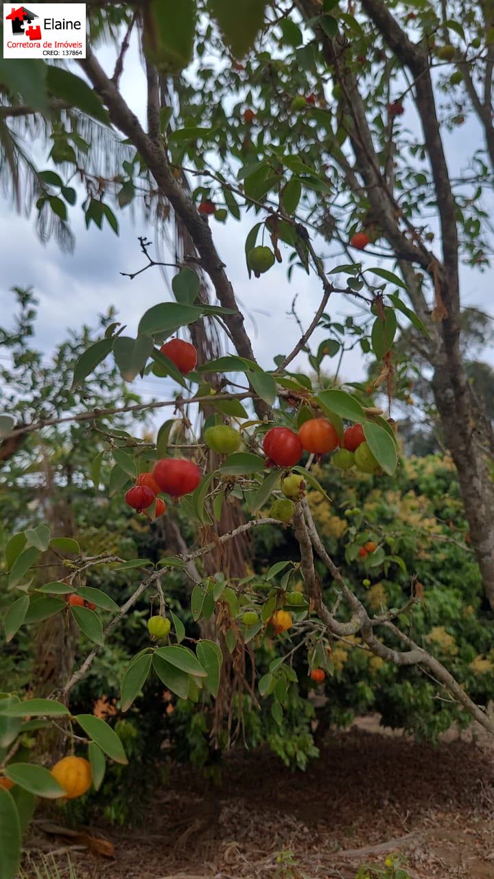 Chácara em Sítio Nagai, Mairinque - Foto 2